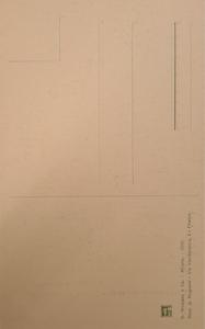 Retrato en pintura de una mujer joven, de Raffaello Sanzio — back