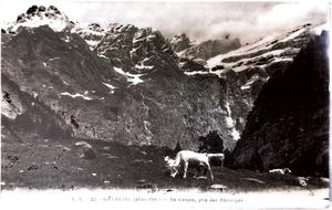 Fotografía de Páturas y un paisaje de fondo, Francia