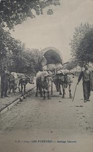 Fotografía de un "attelage béarnais" en los pirineos