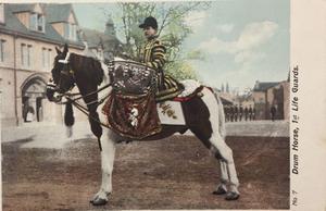 Fotografia de caballo de tambor, primeros salvavidas