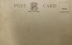 Jennie the old drum horse — back