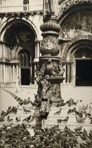 La señora y las palomas